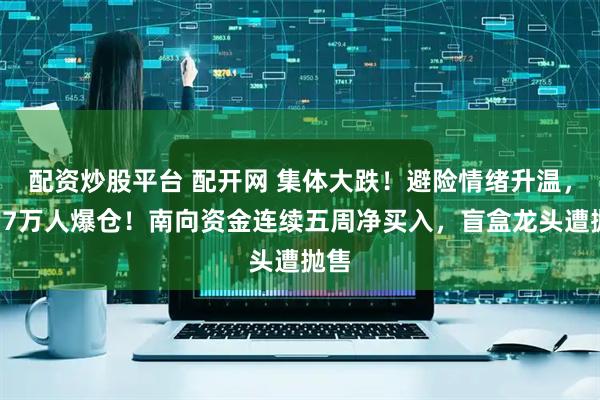 配资炒股平台 配开网 集体大跌！避险情绪升温，超17万人爆仓！南向资金连续五周净买入，盲盒龙头遭抛售