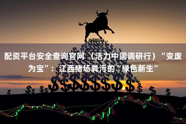配资平台安全查询官网 （活力中国调研行）“变废为宝”：江西猪场粪污的“绿色新生”