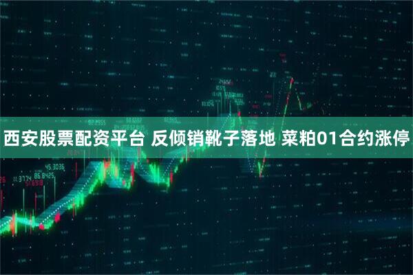 西安股票配资平台 反倾销靴子落地 菜粕01合约涨停